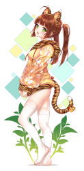 Rule 34 | 1girl, :d, ahoge, animal ears, animal print, ass, bad id, bad pixiv id, bell, blush, brown hair, fake animal ears, fake tail, fang, green eyes, highres, hood, hoodie, jingle bell, long hair, looking at viewer, naked hoodie, nami (nyaa), open mouth, original, paw print, smile, solo, tail, tail bell, tail ornament, thighhighs, tiger ears, tiger print, tiger tail, twintails, white thighhighs