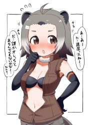 Rule 34 | 1girl, absurdres, american beaver (kemono friends), animal ears, bad id, bad pixiv id, beaver ears, beaver tail, black border, black bra, black gloves, blush, border, bra, breasts, brown eyes, brown shirt, brown shorts, cleavage, commentary, elbow gloves, flying sweatdrops, fur collar, gloves, grey hair, hand on own hip, highres, kemono friends, looking at viewer, medium breasts, motion lines, navel, ngetyan, open mouth, partially unbuttoned, shirt, short hair, shorts, skindentation, sleeveless, sleeveless shirt, solo, standing, sweat, tail, torn clothes, torn sleeves, translated, underwear, upper body, white background