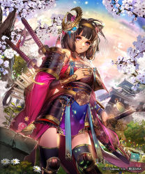 Rule 34 | 1girl, animal ears, armor, arrow (projectile), bird, black thighhighs, blunt bangs, bracer, branch, bridal gauntlets, brown hair, contrapposto, cowboy shot, day, fingernails, hairband, japanese armor, japanese clothes, jewelry, katana, kusazuri, liduke, looking at viewer, nature, obi, official art, outdoors, parted lips, pelvic curtain, purple eyes, quiver, ring, sash, scabbard, sengoku saga, sheath, sheathed, short hair, solo, sparrow, standing, sword, thighhighs, tree, watermark, weapon