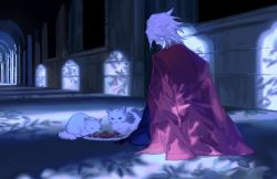 Rule 34 | 1boy, cape, cat, plate, fate/apocrypha, fate (series), feeding, from behind, hallway, karna (fate), karna (formal dress) (fate), kneeling, male focus, mchi, pet food, red cape, solo, white hair
