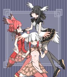 Rule 34 | 10s, 3girls, adapted costume, alternate hairstyle, bird tail, bird wings, black-headed ibis (kemono friends), black hair, black nails, braid, china dress, chinese clothes, commentary request, crown braid, double bun, dress, frilled dress, frills, hair bun, hair tie, head wings, highres, japanese crested ibis (kemono friends), kemono friends, multicolored hair, multiple girls, nail polish, pantyhose, petit ramune, red hair, red nails, scarlet ibis (kemono friends), short hair, sidelocks, sleeve cuffs, tail, twin braids, white hair, wings