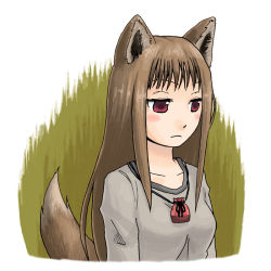Rule 34 | 00s, abekawa, animal ears, bad id, bad pixiv id, brown hair, holo, red eyes, solo, spice and wolf, tail, wolf ears, wolf tail