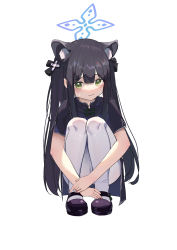 Rule 34 | 1girl, absurdres, animal ear fluff, animal ears, black dress, black footwear, black hair, blue archive, blunt bangs, blush, china dress, chinese clothes, dress, etoile, green eyes, highres, long hair, mary janes, pantyhose, shoes, short sleeves, shun (blue archive), shun (small) (blue archive), simple background, solo, squatting, tiger ears, twintails, white background, white pantyhose