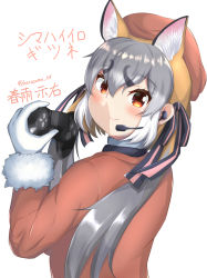 Rule 34 | absurdres, animal ears, blazer, gloves, hat, highres, island fox (kemono friends), jacket, kemono friends, kemono friends v project, long hair, looking at viewer, necktie, open mouth, school uniform, shirt, shoes, silver hair, skirt, smile, solo, tail, twintails, virtual youtuber