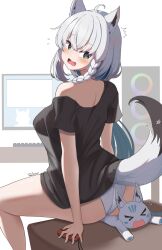 Rule 34 | &gt; &lt;, 1girl, absurdres, ahoge, animal ear fluff, animal ears, artist name, ass, black shirt, blue eyes, blush, braid, breasts, commentary, dated, fox ears, fox girl, fox tail, from behind, highres, hololive, joy-con, large breasts, long hair, looking back, off shoulder, open mouth, panties, shirakami fubuki, shirt, sitting, solo, sukonbu (shirakami fubuki), tail, underwear, vanillafox2035, virtual youtuber, wedgie, white background, white hair, white panties