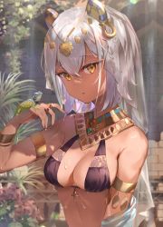 Rule 34 | 1girl, animal ears, ankh, arm up, armlet, bare shoulders, bikini, black bikini, blurry, bracelet, breasts, cleavage, collar, dark-skinned female, dark skin, depth of field, egyptian clothes, fake animal ears, flower, hair between eyes, headdress, jewelry, lizard, looking at viewer, medium breasts, omelet tomato, original, parted lips, plant, red flower, revealing clothes, revision, ring, short hair, solo, swimsuit, upper body, veil, wet, white hair, yellow eyes