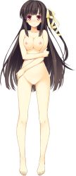 Rule 34 | 1girl, absurdres, black hair, blush, breast hold, breasts, brown hair, full body, hair ribbon, highres, koikishi purely kiss, large breasts, long hair, looking at viewer, navel, nipples, no pussy, nude, red eyes, ribbon, shidou mana, simple background, smile, solo, standing, white background, yuuki hagure
