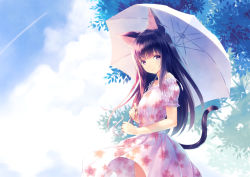 Rule 34 | 1girl, animal ears, bare shoulders, black hair, blunt bangs, casual, cat ears, cat tail, closed mouth, cloud, cloudy sky, cowboy shot, day, dress, floral print, frilled sleeves, frills, hirano katsuyuki, holding, holding umbrella, long hair, looking at viewer, original, outdoors, pink dress, purple eyes, short sleeves, sky, smile, solo, standing, tail, tree, umbrella, white umbrella