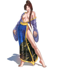 Rule 34 | 1girl, bad anatomy, bad hands, barefoot, brown hair, censored, convenient censoring, hair censor, hair over breasts, japanese clothes, kimono, long hair, man hands, off shoulder, open clothes, open kimono, ponytail, poorly drawn, shadow, shin sangoku musou, single bare shoulder, solo, zhen ji