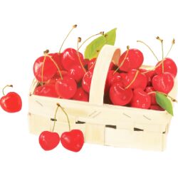 Rule 34 | basket, cherry, commentary request, food, food focus, fruit, leaf, lowres, nagihi, no humans, original, simple background, still life, white background
