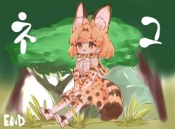 Rule 34 | absurdres, animal ear fluff, animal ears, belt, black belt, bow, bowtie, brown eyes, elbow gloves, gloves, hair behind ear, highres, huge filesize, kemono friends, notora, own hands together, rock, serval (kemono friends), serval print, serval tail, shirt tucked in, short hair, sitting, solo, tail, thighhighs, traditional bowtie, tree
