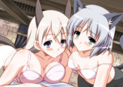 Rule 34 | 2girls, animal ears, ass, bed, black legwear, blue eyes, blush, bra, breasts, cat ears, cat tail, cleavage, closed mouth, eila ilmatar juutilainen, fox ears, fox tail, green eyes, grin, indoors, isa (ni-iro), large breasts, long hair, looking at viewer, multiple girls, on bed, panties, panties over pantyhose, pantyhose, parted lips, sanya v. litvyak, short hair, small breasts, smile, strike witches, tail, teeth, underwear, white bra, white hair, white legwear, white panties, world witches series