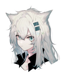 Rule 34 | 1girl, animal ears, arknights, blue eyes, closed mouth, hair ornament, highres, lappland (arknights), looking at viewer, portrait, runamonet, scar, scar across eye, simple background, smile, solo, white background, white hair