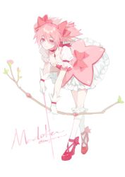 Rule 34 | 1girl, bow, bow (weapon), choker, dress, flower, frilled dress, frills, full body, gloves, hair bow, highres, inuyama (inuhill), kaname madoka, kneehighs, leaning forward, looking at viewer, magical girl, mahou shoujo madoka magica, mahou shoujo madoka magica (anime), pink bow, pink choker, pink dress, pink eyes, pink flower, pink footwear, pink hair, pink rose, puffy short sleeves, puffy sleeves, rose, short hair, short sleeves, short twintails, signature, simple background, smile, socks, solo, soul gem, standing, twintails, weapon, white background, white gloves, white socks