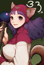 Rule 34 | 1girl, animal ears, breasts, closed mouth, curly hair, dragon quest, dragon quest ii, dress, harumaki, hood, large breasts, long hair, looking at viewer, princess of moonbrook, purple hair, smile, solo, staff