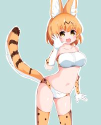 Rule 34 | 1girl, :d, animal ear fluff, animal ears, berusa (berutoo), blue background, bra, breasts, collarbone, contrapposto, cowboy shot, elbow gloves, fang, gloves, highres, kemono friends, large breasts, looking at viewer, navel, open mouth, orange hair, outline, panties, serval (kemono friends), serval print, serval tail, short hair, simple background, skin fang, smile, solo, tail, thighhighs, underwear, white outline, yellow eyes