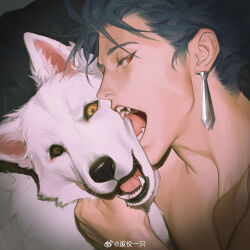 Rule 34 | 1boy, absurdres, animal, animal hug, blue hair, collarbone, cu chulainn (fate), dog, fate/stay night, fate (series), feijio yizhi, highres, looking at viewer, male focus, open mouth, red eyes, sharp teeth, short hair, silver earrings, solo, teeth, topless male, weibo logo, white dog, yellow eyes