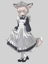 Rule 34 | 1girl, ahoge, alternate costume, animal ears, apron, arknights, black dress, black footwear, breasts, choker, closed mouth, cyan yu, dress, enmaided, fang, fang out, full body, green eyes, grey background, heel up, high heels, highres, light brown hair, long sleeves, maid, maid apron, maid headdress, pantyhose, raised eyebrows, short sleeves, simple background, skirt hold, small breasts, solo, sussurro (arknights), tail, white pantyhose