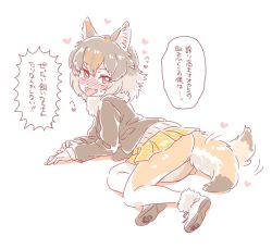 Rule 34 | 10s, animal ears, ass, black jacket, blush, borrowed character, bright pupils, commentary request, czechoslovakian wolfdog (kemono friends) (kitsunetsuki itsuki), fang, fangs, fictional persona, from behind, fur collar, fur trim, gloves, heart, jacket, kemono friends, looking at viewer, looking back, lying, mitsumoto jouji, nose blush, on side, pantyhose, paw print, pleated skirt, red eyes, shoes, skirt, smile, solo, sweater, tail, tail wagging, tongue, tongue out, translation request, white gloves, yellow skirt