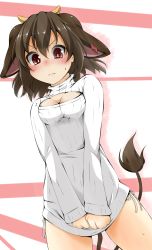 Rule 34 | 10s, 1girl, :c, animal ears, blush, breasts, brown hair, cleavage, cleavage cutout, clothes tug, clothing cutout, covering privates, covering crotch, cow ears, fumi (fumifumi-graffiti), highres, holmy (show by rock!!), horns, long sleeves, meme attire, naked sweater, open-chest sweater, red eyes, ribbed sweater, show by rock!!, side-tie peek, simple background, solo, striped, striped background, sweater, sweater tug, tail, turtleneck, v arms