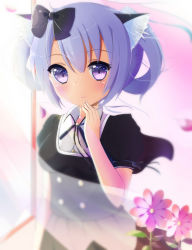 Rule 34 | 1girl, animal ears, blush, bow, buttons, cat ears, curtains, dress, flower, hair bow, looking at viewer, neck ribbon, open window, original, petals, purple eyes, purple hair, ribbon, short hair, short sleeves, solo, standing, sunlight, takapii, transparent, wind, window