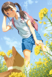 Rule 34 | 1girl, backpack, bag, blue shorts, blue sky, blurry, blurry foreground, blush, brown eyes, brown hair, cat, closed mouth, collarbone, collared shirt, commentary request, day, depth of field, flower, gym uniform, hand up, highres, long hair, original, outdoors, pairan, shirt, short shorts, short sleeves, shorts, sky, smile, solo, twintails, white shirt, wind turbine, windmill, yellow flower