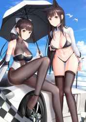 Rule 34 | 2girls, animal ears, artist name, atago (azur lane), atago (stunning speedster) (azur lane), azur lane, bare shoulders, bikini, bikini tug, bird, black bikini, black bow, black hair, blue sky, blush, bodystocking, bow, breasts, brown eyes, car, checkered flag, cleavage, cleavage cutout, closed mouth, clothing cutout, cloud, cloudy sky, collarbone, commentary request, day, extra ears, feet out of frame, fine fabric emphasis, flag, footwear bow, gluteal fold, hair flaps, highleg, highleg bikini, highres, impossible clothes, kep (ahokep), large breasts, leotard, logo, long hair, long sleeves, looking at viewer, midriff, mole, mole under eye, motor vehicle, multicolored leotard, multiple girls, navel, official alternate costume, on vehicle, outdoors, pantyhose, ponytail, race queen, ribbon, saleen, saleen s7, seagull, shrug (clothing), sidelocks, sitting, skindentation, sky, sleeve cuffs, smile, standing, stomach, strap gap, swept bangs, swimsuit, takao (azur lane), takao (full throttle charmer) (azur lane), two-tone bikini, two-tone leotard, unitard, very long hair, white bow, white footwear, white ribbon, wolf ears, wrist cuffs