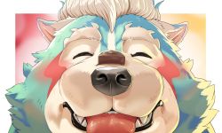 Rule 34 | 1boy, animal ears, animal nose, blue fur, border, chocolate, close-up, closed eyes, commentary, facial mark, fangs, furry, furry male, fute (mti777), male focus, oguchi magami, outside border, short hair, snout, solo, thick eyebrows, tokyo houkago summoners, tongue, tongue out, two-tone background, white border, white fur, white hair, wolf boy, wolf ears