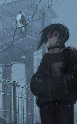 Rule 34 | 1girl, bare tree, bird, black coat, black eyes, black hair, building, buzzard, coat, cold, feet out of frame, fence, floating hair, grimace, hands in pockets, haze, high collar, highres, long sleeves, natsuno kanasemi, original, overcast, scenery, shaded face, short hair, short twintails, sky, snow, snow on body, snow on head, standing, tree, trembling, twintails, v-shaped eyebrows, white sky, winter, winter clothes, winter coat, zipper pull tab