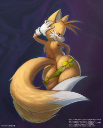 Rule 34 | 1boy, :3, animal ears, animal nose, arm behind head, arm up, artist name, ass, back, blonde hair, blue eyes, blurry, blurry background, body fur, bow, butt crack, closed mouth, cowboy shot, deviantart username, fox boy, fox ears, fox tail, from behind, furaffinity username, furry, furry male, gloves, green bow, green panties, half-closed eyes, hand on own head, happy, hentai-foundry username, looking at viewer, looking back, male focus, multiple tails, newgrounds username, panties, panty pull, pixiv id, purple background, short hair, sideways mouth, smile, solo, sonic (series), standing, tail, tails (sonic), thick thighs, thighs, topless male, totesfleisch8, two-tone fur, two tails, underwear, watermark, web address, white fur, white gloves, wide hips, yellow fur