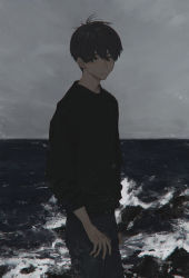 1boy bad_id bad_tumblr_id belt black_eyes black_hair black_sweater blue_pants closed_mouth cowboy_shot denim from_side grey_sky hirota_tsuu jeans long_sleeves looking_at_viewer looking_to_the_side male_focus ocean original outdoors overcast pants sky solo standing sweater waves