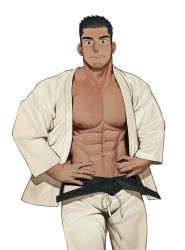 Rule 34 | 1boy, abs, bara, belt, black belt, black eyes, closed mouth, facial hair, hands on own hips, highres, judo, looking at viewer, male focus, martial arts belt, mature male, muscular, muscular male, navel, nywlub (bulwyn), open clothes, open shirt, original, pants, pectoral cleavage, pectorals, short hair, solo, stubble, sweat, sweatdrop, white pants