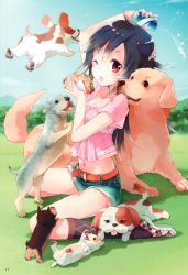 Rule 34 | 1girl, absurdres, ahoge, animal on leg, argyle, argyle clothes, argyle legwear, arm up, belt, black hair, blush, breasts, brown belt, can, cleavage, cloud, collarbone, day, dog, food, forest, grass, hair between eyes, hair flaps, hair ornament, hairband, highres, holding, holding food, long hair, looking at viewer, medium breasts, mountain, mountainous horizon, multicolored hair, nature, navel, one eye closed, open mouth, pink shirt, plaid, pocari sweat, red eyes, sandwich, see-through, shadow, shirt, shoes, short shorts, shorts, sitting, sky, skyline, sneakers, solo, splashing, stocks, thighs, tiv, tongue, tongue out, tree, wariza, yarizakura hime, yozakura quartet