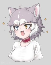 Rule 34 | 1girl, :3, :d, animal ear fluff, animal ears, belt collar, blue eyes, breasts, collar, collarbone, cropped arms, cropped torso, dog (mixed breed) (kemono friends), dog ears, excited, fang, green eyes, grey background, heterochromia, kemono friends, looking away, medium breasts, multicolored hair, nyifu, open mouth, shirt, short hair, short sleeves, simple background, smile, solo, sparkle, t-shirt, two-tone hair, upper body, white hair, white shirt, yellow eyes