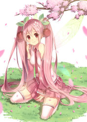 Rule 34 | 1girl, absurdres, boots, cherry, cherry blossoms, detached sleeves, flower, food, fruit, grass, hair flower, hair ornament, hatsune miku, highres, long hair, looking at viewer, maya g, necktie, pink hair, red eyes, sakura miku, seiza, sitting, skirt, smile, solo, thigh boots, thighhighs, twintails, very long hair, vocaloid, wings