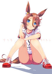 1girl animal_ears artist_name blue_eyes brown_hair commentary_request flower frown full_body hair_between_eyes highres horse_ears horse_girl inoue_sora knees_up looking_at_viewer narita_taishin_(umamusume) no_socks original_race_uniform_(umamusume) panties panty_peek pink_shorts race_bib shadow shirt shoes short_hair short_sleeves shorts simple_background sitting sneakers solo sweat umamusume underwear upshorts white_background white_shirt