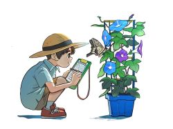 Rule 34 | 1boy, blue flower, blue shirt, board, brown shorts, bug, butterfly, child, closed mouth, commentary request, drawing, flower, flower pot, fujiwara yoshito, hat, holding, holding pen, insect, kneeling, looking at animal, male focus, morning glory, notes, original, pen, plant, potted plant, profile, purple flower, red footwear, science, shirt, shorts, simple background, socks, solo, squatting, straw hat, trellis, white background, writing