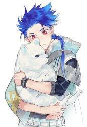 Rule 34 | 1boy, 1other, angry, animal, asymmetrical bangs, asymmetrical clothes, belt, blue hair, braid, braided ponytail, capelet, child, closed mouth, cu chulainn (fate), dog, earrings, fang, fate/grand order, fate/grand order arcade, fate (series), holding, holding animal, jewelry, k29, long hair, looking down, male focus, popped collar, puppy, red eyes, setanta (fate), simple background, skin fang, white background