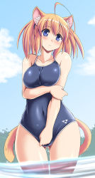Rule 34 | 1girl, ahoge, animal ears, blue eyes, blue sky, blush, breasts, brown hair, cat ears, cat tail, cloud, competition school swimsuit, covered navel, day, large breasts, one-piece swimsuit, original, pudding (tonpuu), school swimsuit, short hair, sky, solo, swimsuit, tail, tonpuu, triforce, wading, water