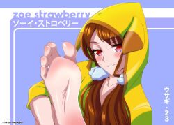 Rule 34 | 1girl, absurdres, barefoot, blush, brown hair, conejologia, feet, highres, hood, long hair, looking at viewer, original, parted lips, red eyes, smile, soles, toes