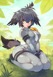 Rule 34 | 1girl, arched back, black gloves, black hair, blouse, boots, breast pocket, breasts, closed mouth, collared shirt, day, full body, gloves, grass, green eyes, grey pantyhose, grey shirt, hair between eyes, head wings, highres, kemono friends, large breasts, layered sleeves, long sleeves, looking at viewer, monster girl, necktie, outdoors, pantyhose, pocket, rtil, seiza, shirt, shoebill (kemono friends), short over long sleeves, short sleeves, shorts, sitting, solo, tail, taut clothes, taut shirt, thick thighs, thighs, uniform, wariza, white necktie, wings