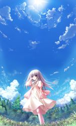 Rule 34 | 1girl, chikotam, cloud, day, dress, eden they were only two on the planet, fisheye, highres, long hair, minori (company), nature, outdoors, sion (eden), sky, solo, tree