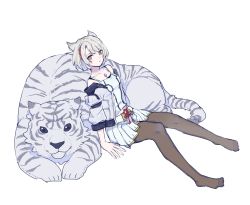 Rule 34 | 1girl, animal, animal ears, blue eyes, breasts, cat ears, chest jewel, dromarch (xenoblade), highres, jacket, lobsterbaby99, long hair, looking at viewer, mio (xenoblade), pantyhose, short hair, simple background, skirt, solo, tiger, white hair, xenoblade chronicles (series), xenoblade chronicles 2, xenoblade chronicles 3, yellow eyes