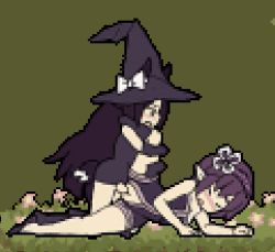 Rule 34 | 1futa, 1girl, animal ears, animated, animated gif, clothed sex, cum, cum in pussy, elf, flower witch, futa with female, futanari, hat, leg up, lowres, misinkojou, missionary, pixel art, pointy ears, sex, tail, vaginal, witch, witch hat