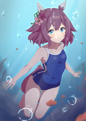 Rule 34 | 1girl, alternate costume, animal ears, arms at sides, barefoot, blue eyes, breasts, closed mouth, collarbone, horse ears, horse tail, looking at viewer, sakura chiyono o (umamusume), school swimsuit, signature, simple background, small breasts, smile, solo, swimsuit, tail, umamusume, underwater, white background, yaya eshage