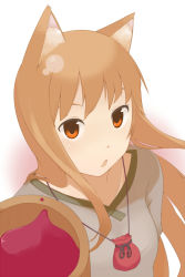 Rule 34 | 1girl, animal ears, bad id, bad pixiv id, brown hair, cup, holo, katakura supipi, pouch, red eyes, solo, spice and wolf, supi (pixiv), wolf ears