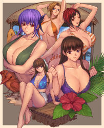 Rule 34 | 5girls, ayane (doa), bikini, black hair, blonde hair, blue eyes, breasts, brown hair, cleavage, copyright name, dead or alive, dead or alive 5, hair down, hitomi (doa), ibanen, large breasts, lei fang, long hair, looking at viewer, mila (doa), multiple girls, purple eyes, purple hair, red eyes, red hair, sitting, smile, swimsuit, tina armstrong, wink