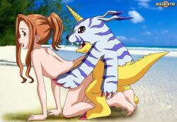 Rule 34 | 1boy, 1girl, all fours, beach, completely nude, digimon, digimon (creature), digimon adventure, doggystyle, full body, gabumon, medium hair, nude, open mouth, outdoors, sex, sex from behind, sidelocks, tachikawa mimi