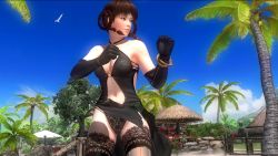 Rule 34 | dead or alive, highres, leather, lei fang, panties, thighhighs, underwear
