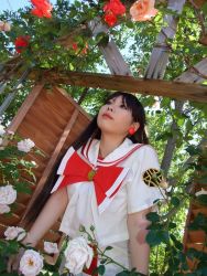 Rule 34 | akira ferrari, akoda yae, aria (manga), cosplay, flower, photo (medium), rose, undine